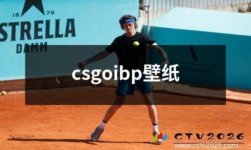 csgoibp壁纸