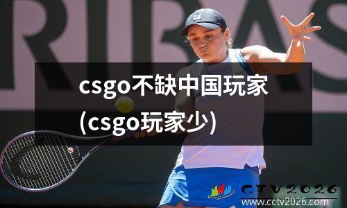 csgo不缺中国玩家(csgo玩家少)