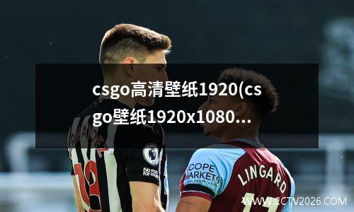 csgo高清壁纸1920(csgo壁纸1920x1080蓝光竖屏)