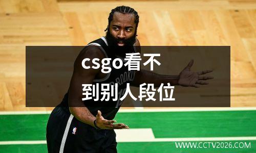 csgo看不到别人段位