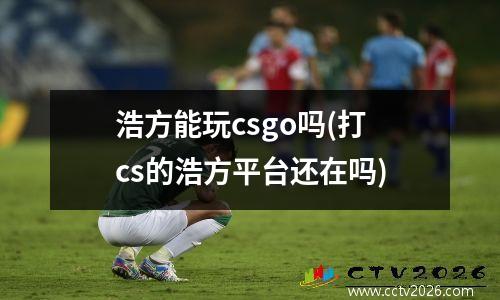 浩方能玩csgo吗(打cs的浩方平台还在吗)