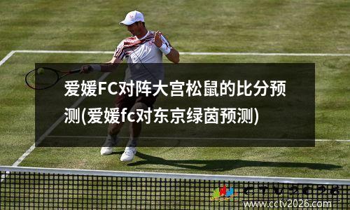 爱媛FC对阵大宫松鼠的比分预测(爱媛fc对东京绿茵预测)