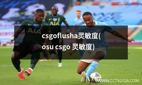 csgoflusha灵敏度(osu csgo 灵敏度)