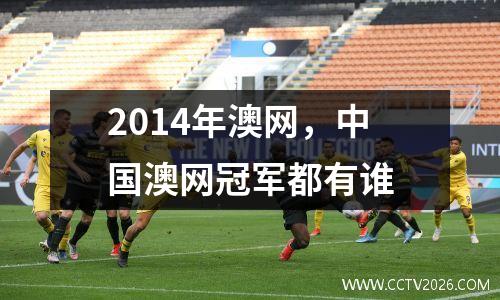 2014年澳网，中国澳网冠军都有谁