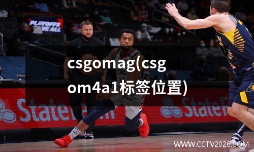 csgomag(csgom4a1标签位置)