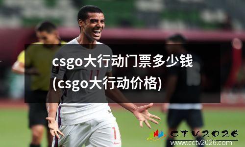 csgo大行动门票多少钱(csgo大行动价格)