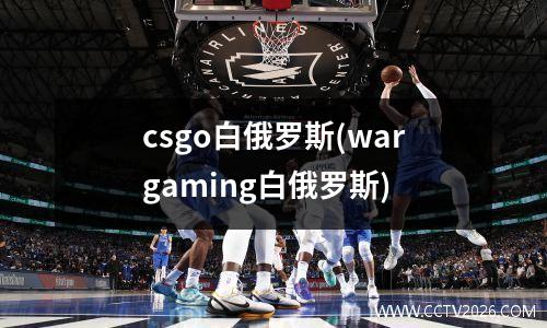 csgo白俄罗斯(wargaming白俄罗斯)
