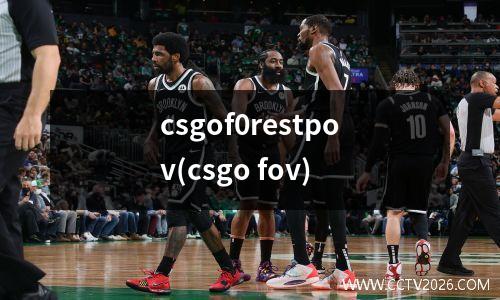 csgof0restpov(csgo fov)