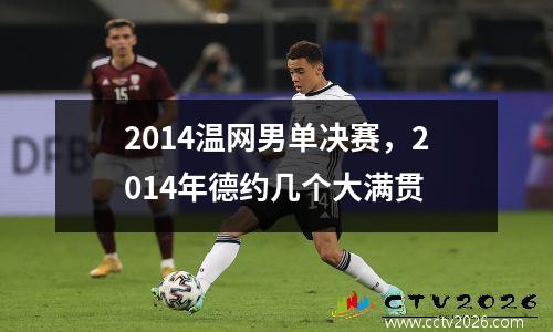 2014温网男单决赛，2014年德约几个大满贯