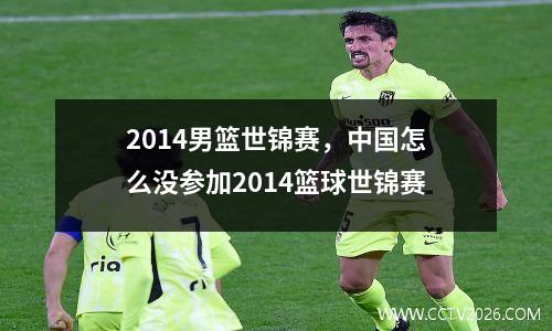 2014男篮世锦赛，中国怎么没参加2014篮球世锦赛
