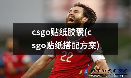 csgo贴纸胶囊(csgo贴纸搭配方案)