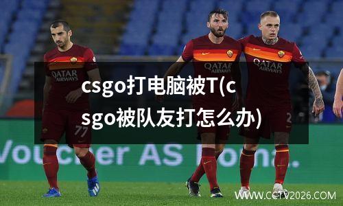 csgo打电脑被T(csgo被队友打怎么办)