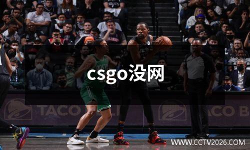 csgo没网