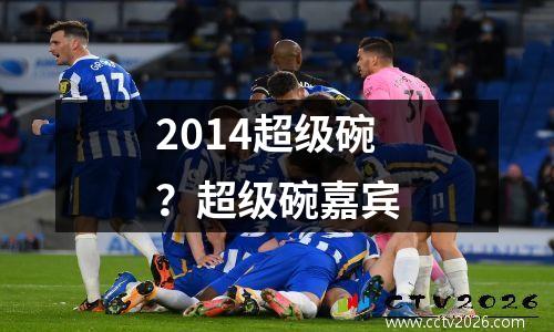 2014超级碗？超级碗嘉宾