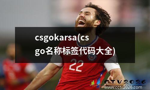 csgokarsa(csgo名称标签代码大全)