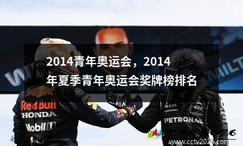 2014青年奥运会，2014年夏季青年奥运会奖牌榜排名