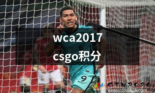wca2017csgo积分