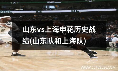 山东vs上海申花历史战绩(山东队和上海队)