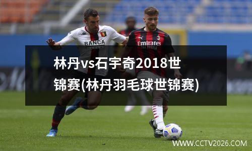 林丹vs石宇奇2018世锦赛(林丹羽毛球世锦赛)