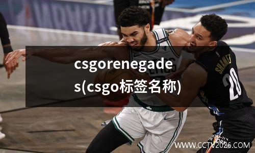 csgorenegades(csgo标签名称)