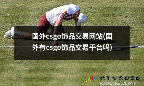 国外csgo饰品交易网站(国外有csgo饰品交易平台吗)