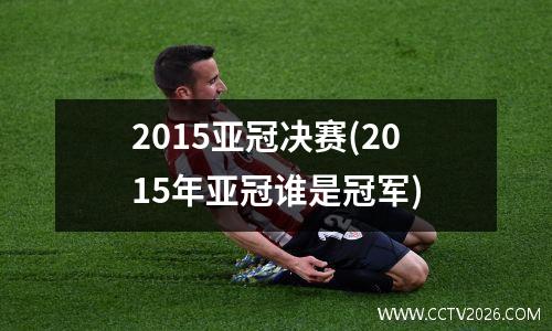 2015亚冠决赛(2015年亚冠谁是冠军)