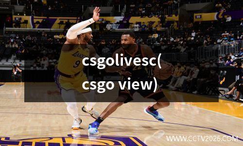 csgolivesc(csgo view)
