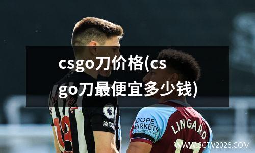 csgo刀价格(csgo刀最便宜多少钱)