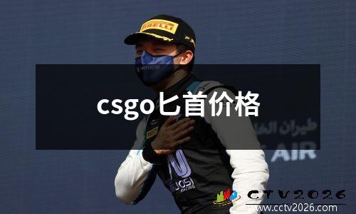 csgo匕首价格