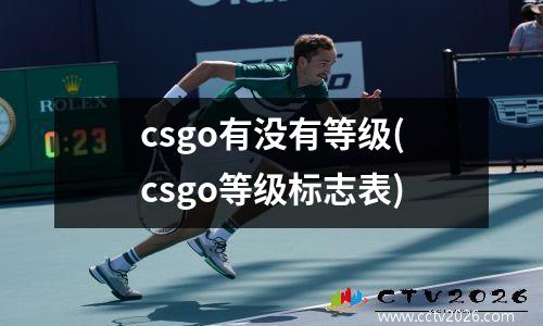 csgo有没有等级(csgo等级标志表)