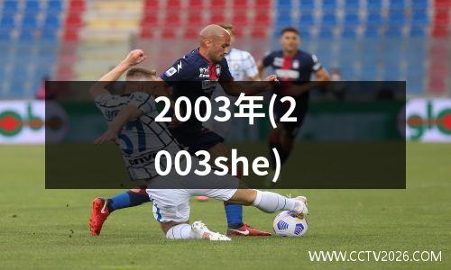2003年(2003she)