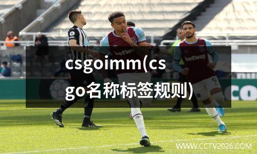 csgoimm(csgo名称标签规则)