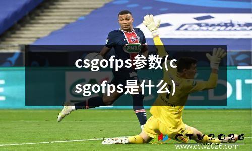 csgofps参数(csgofps是什么)