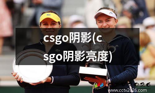 csgo阴影(csgo阴影亮度)