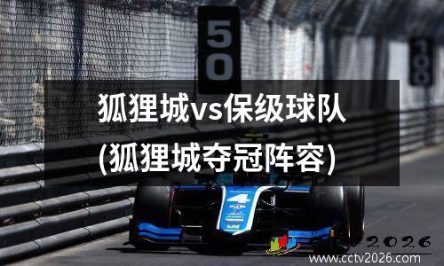 狐狸城vs保级球队(狐狸城夺冠阵容)