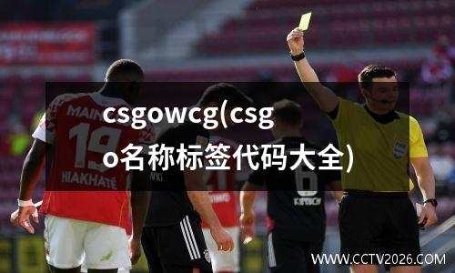 csgowcg(csgo名称标签代码大全)
