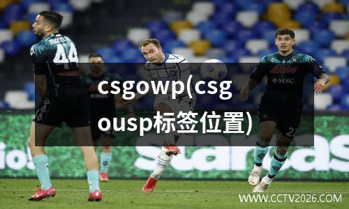 csgowp(csgousp标签位置)