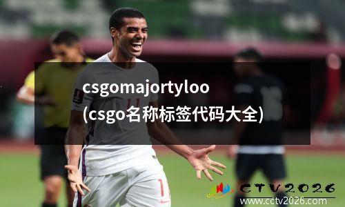 csgomajortyloo(csgo名称标签代码大全)