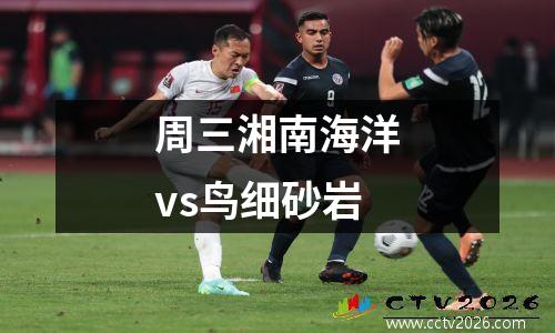 周三湘南海洋vs鸟细砂岩