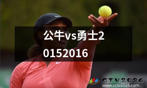 公牛vs勇士20152016