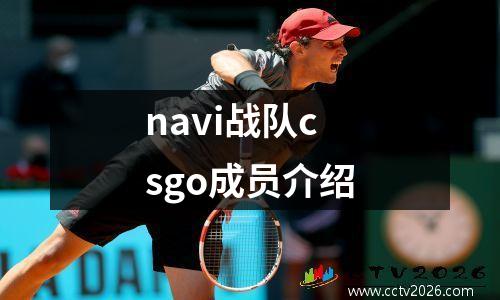 navi战队csgo成员介绍