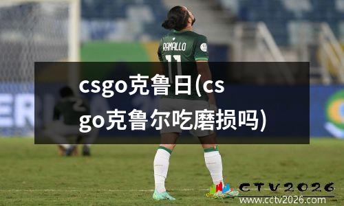 csgo克鲁日(csgo克鲁尔吃磨损吗)