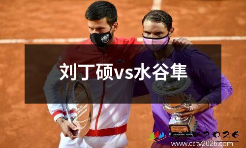 刘丁硕vs水谷隼