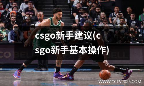 csgo新手建议(csgo新手基本操作)