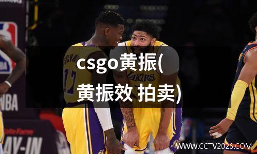 csgo黄振(黄振效 拍卖)