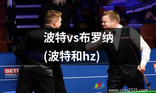 波特vs布罗纳(波特和hz)