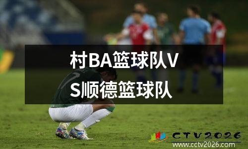 村BA篮球队VS顺德篮球队
