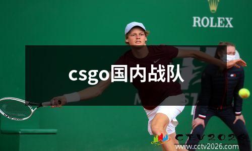 csgo国内战队