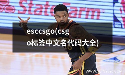 esccsgo(csgo标签中文名代码大全)