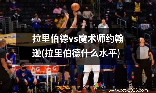 拉里伯德vs魔术师约翰逊(拉里伯德什么水平)